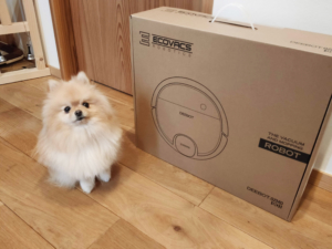 子供が犬アレルギー？！愛犬と暮らし続けるための我が家の対策をご紹介します。