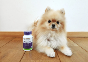 メラトニンは自分で輸入できる？アロペシアXの治療費が月5000円以上安くなった！個人輸入ECサイト「iHerb」とは？