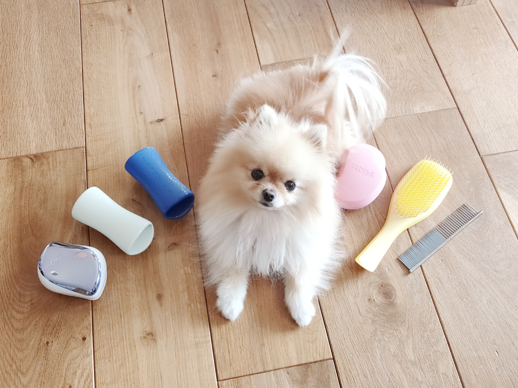 【抜け毛大収穫祭】ブラッシングが苦手な子におすすめ!“ペットティーザー”