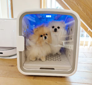 【ドライルーム導入レポート】ぽぽち＆ぱぴちの快適乾燥タイム！