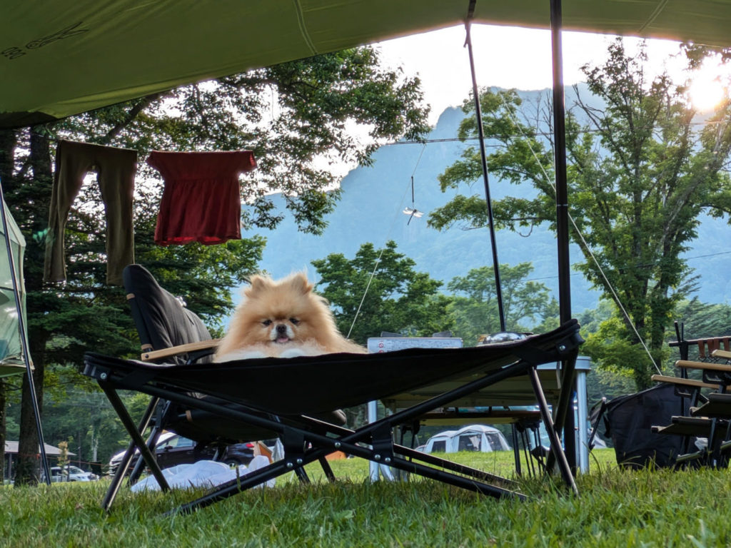 【戸隠キャンプ場レポ】夏でも涼しい！犬＆子ども連れで快適に過ごせる高原キャンプ場