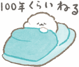 ぱぴちのイヤイヤ期